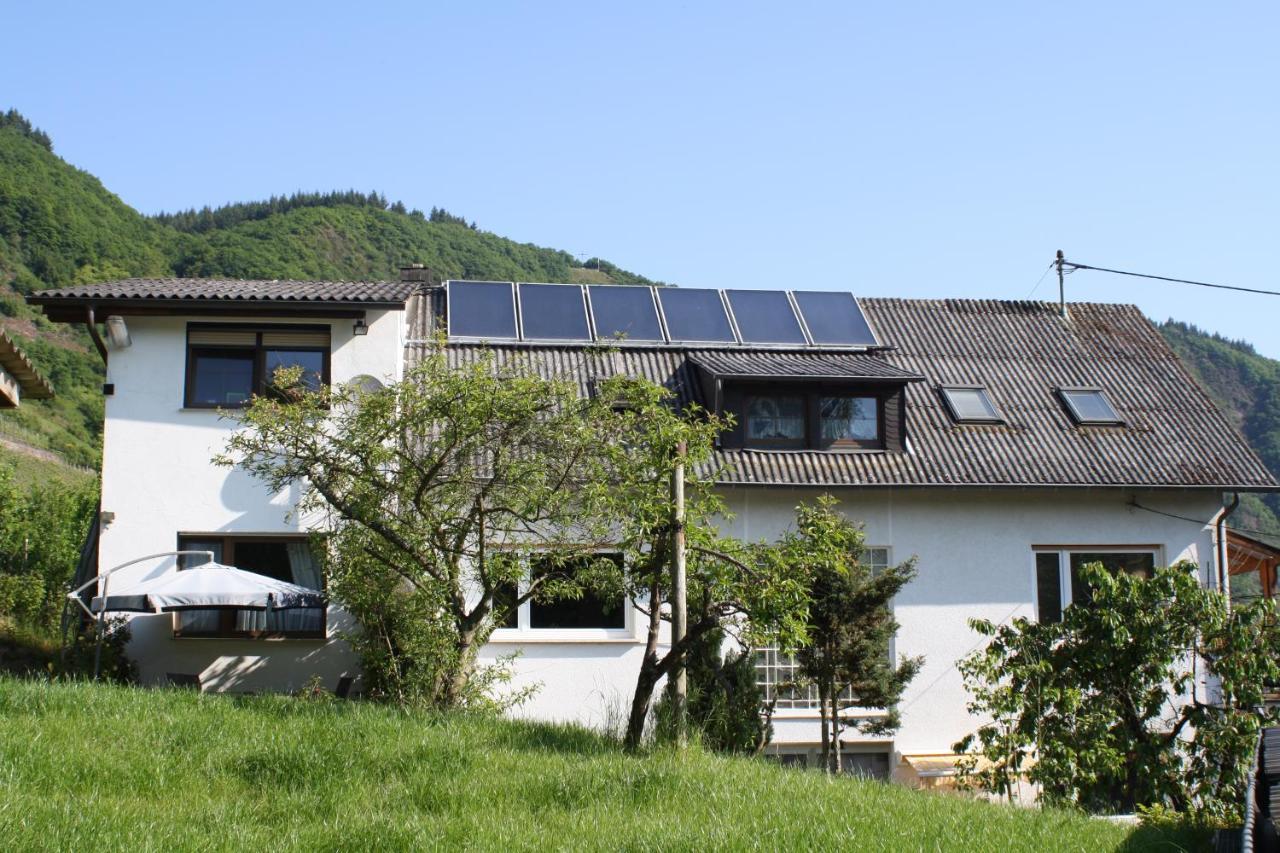 Komfort Ferienwohnung Fewo74-1 ブレム エクステリア 写真